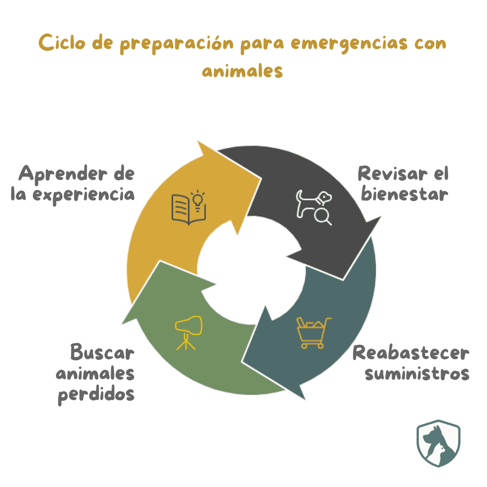 Ciclo visual de preparación post-emergencia para animales: bienestar, suministros, búsqueda de perdidos y aprendizaje.
